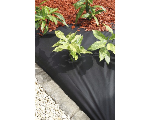 Tuin met anti-worteldoek, planten en mulch