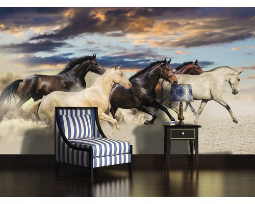 Fotobehang met motief van galopperende paarden in een woonkamer