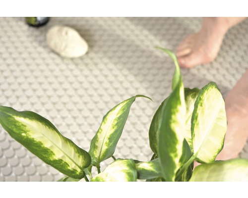 Scene van een badkamer met potplant en ronde tegels