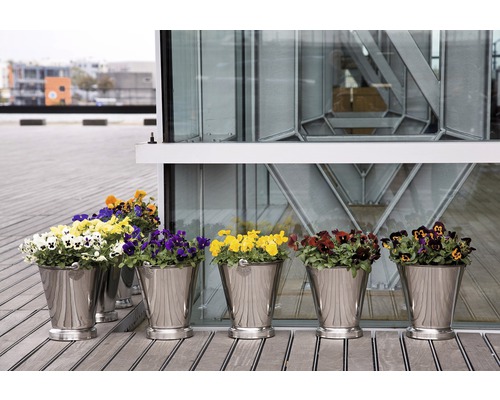Bloemen in metalen emmers op houten terras