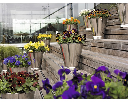 Bloemen in metalen emmers op houten treden