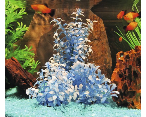 Aquarium met vissen en kunststof planten