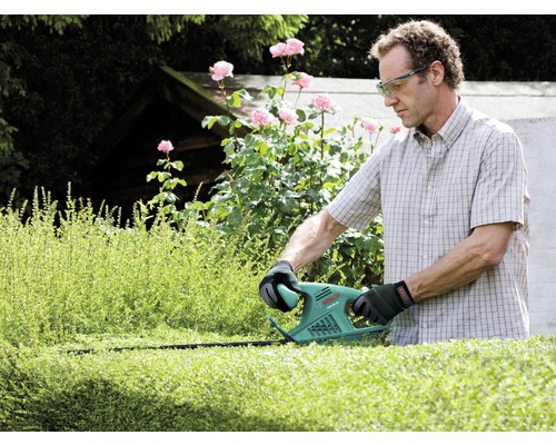 Man snoeit heg met een heggenschaar in de tuin