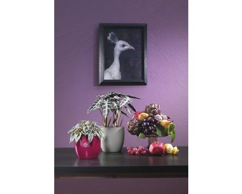 Decoratief arrangement met kamerplanten, fruit en een ingelijste afbeelding aan de muur