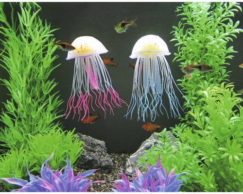 Aquarium met twee kwallenornamenten en planten