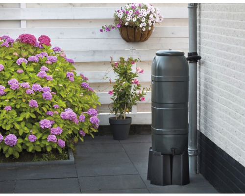 Regenton in de tuin met bloemen en planten