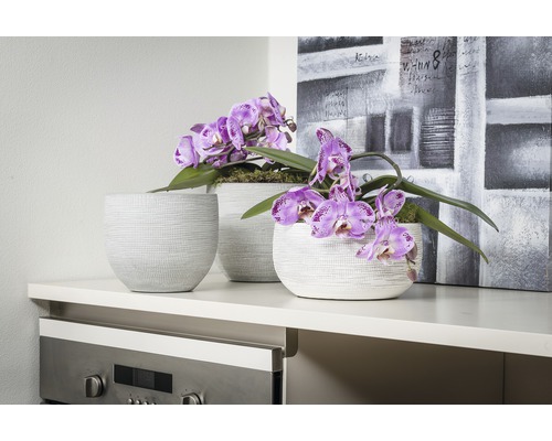 Decoratieve bloempotten met paarse orchideeën op een dressoir