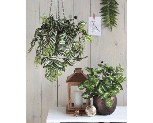 Decoratieve interieurscène met hangplant, kamerplant en lantaarn op een tafel.