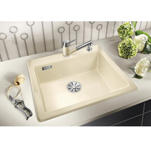 Spoelbak van silgranit met kraan en bloemstuk