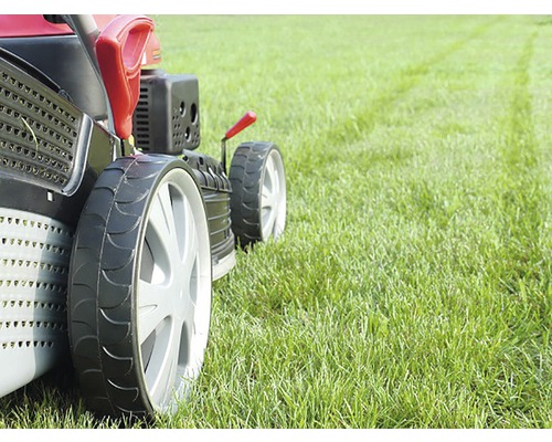 Grasmaaier in gebruik op gazon