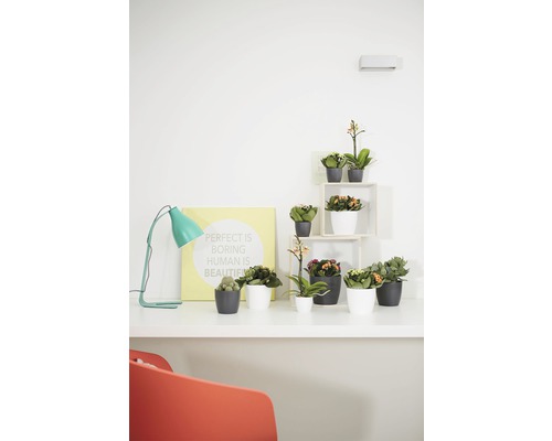Decoratieve tafereel met planten in potten en bureaulamp
