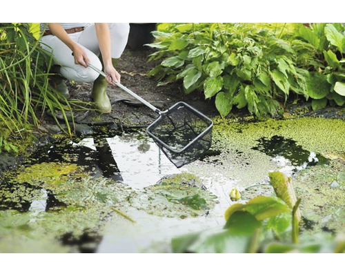 Persoon met een schepnet voor vijverreiniging bij een tuinvijver.