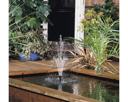 Vijver met waterspel en beplanting