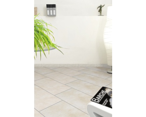 Lichte ruimte met vloertegels in steenlook, plant en decoratie