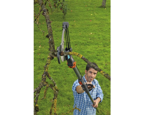 Een man gebruikt een takkenschaar met steel om een boomtak te snoeien.