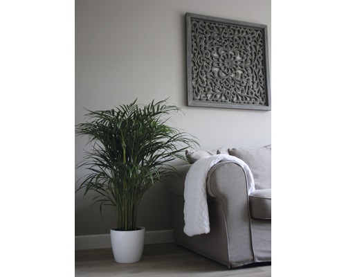 Woonkamer met kamerplant, bank en wanddecoratie