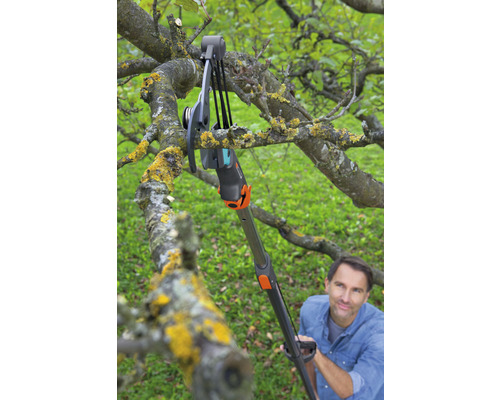 Een persoon gebruikt een takkenschaar met telescopische steel om een tak te snoeien.