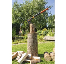 Houtkloofbijl op een hakblok in de tuin