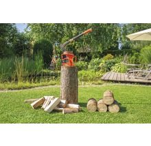 Kloofbijl met kloofwig op een boomstam in de tuin met brandhout.