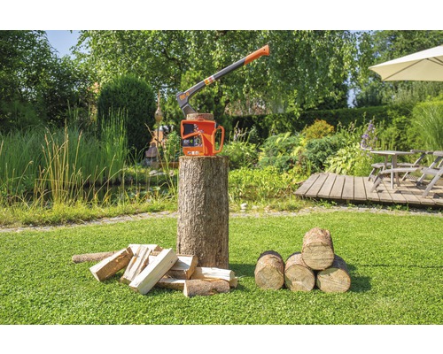 Kloofbijl met kloofwig op een boomstam in de tuin met brandhout.