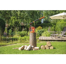 Tuinsetting met een bijl en houtklover op een houten stam, omringd door stukken hout