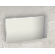 Spiegelkast met twee deuren aan de wand gemonteerd