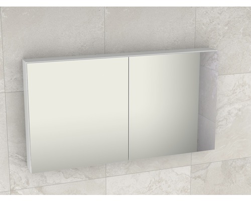 Spiegelkast met twee deuren aan de wand gemonteerd