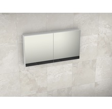 Spiegelkast met twee deuren voor wandmontage in de badkamer