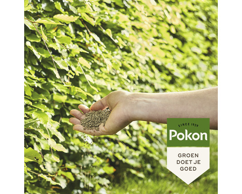 Een hand houdt gazonmest vast voor een groene haag. Pokon logo.