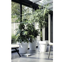ELHO Plantenbak Pure kunststof Ø 50 H 44,5 cm wit