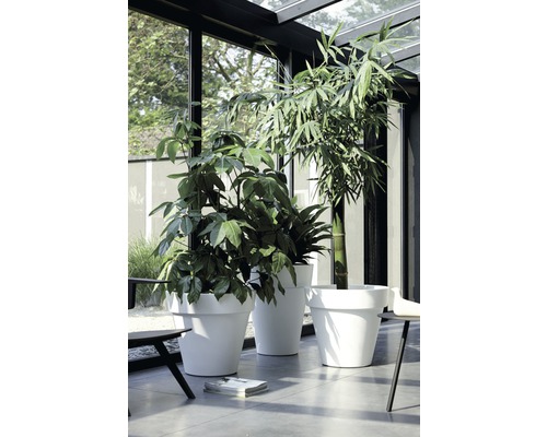KADAX Bloempot met inzetstuk en handgrepen, plantenbak van kunststof in 5 maten, uv-bestendig, weerbestendig, hoog, met 3D-effect, laag, grijs