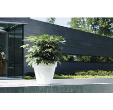 ELHO Plantenbak Pure kunststof Ø 50 H 44,5 cm wit