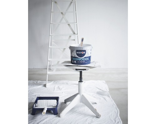 Verfemmer, verfroller en ladder voor renovatiewerkzaamheden