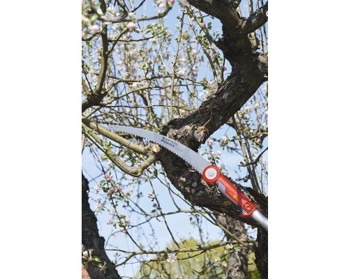 Takkensnoeischaar snijdt tak van boom