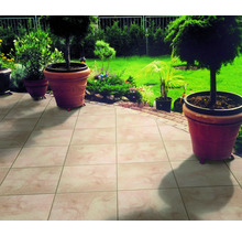 Tuinscene met betegelde vloer en plantenbakken
