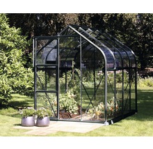 Kas in de tuin met planten en bloemen