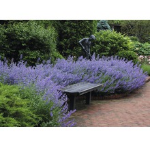 Tuinscene met bloeiende planten, standbeeld en houten bank