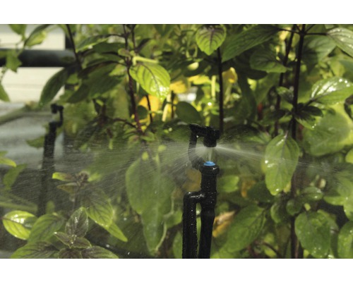 Irrigatiesysteem voor planten in de tuin