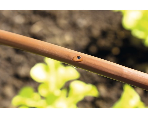 Close-up van een irrigatieslang met een druppel water bij het uitstroomgat voor tuinirrigatie