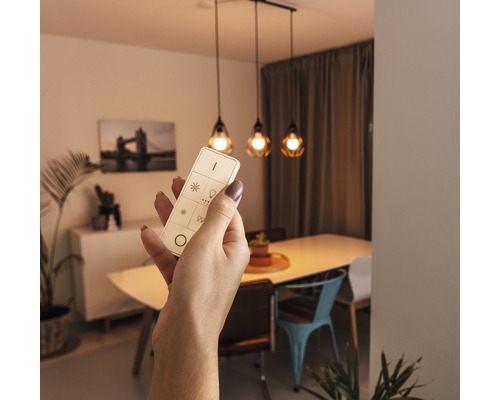 Vrouwenhand met afstandsbediening voor het bedienen van een hanglamp in de eetkamer.