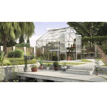 Tuin met kas, planten en tuingereedschap