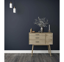 DECOFLAIR Overzetplint CBC1 11x2,2x200 cm