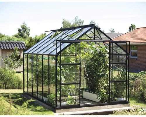 VITAVIA Tuinkas Uranus 9900 met veiligheidsglas 3 mm zwart met fundament, 257x383x248 cm