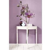Decoratieve opstelling met tafel, orchidee en vazen tegen een muur.