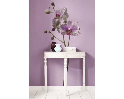 Decoratieve opstelling met tafel, orchidee en vazen tegen een muur.