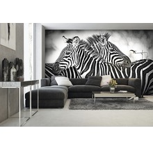 Woonkamer met fotobehang zebra''s, bank en vloerkleed