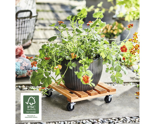 Bloempot met plant op plantenroller met wielen en FSC-keurmerk