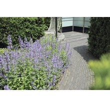 EXCLUTON Abbeystone waalformaat getrommeld nero 20x5x7 cm-thumb-2 EXCLUTON Abbeystone waalformaat getrommeld nero 20x5x7 cm-thumb-2