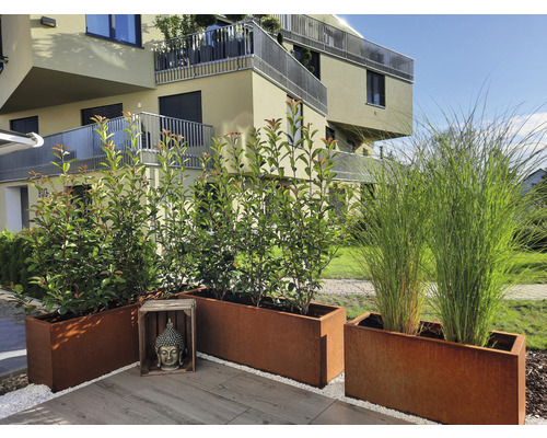 Decoratieve metalen plantenbakken met planten buitenshuis voor een gebouw.