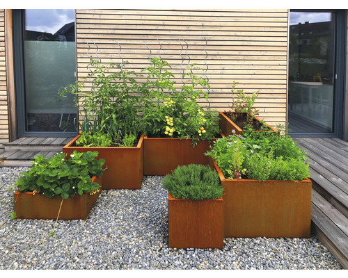 Diverse beplante, vierkante metalen plantenbakken in de tuin.